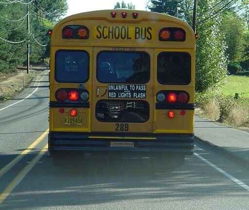 I Saw a Child on the School Bus Hitting the Back Window and Yelling for Help