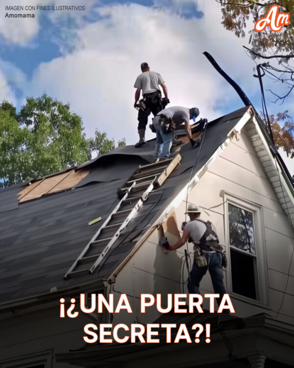 Reparando El Techo De Una Viuda, Hombres Hallan Escondite De Su Esposo Y Deciden No Decir Nada – Historia Del Día