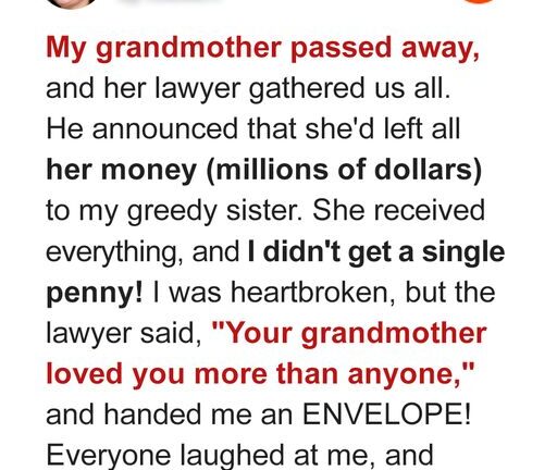 Grandma’s Will Left Me Nothing Until I Discovered Her Secret Plan — Story of the Day