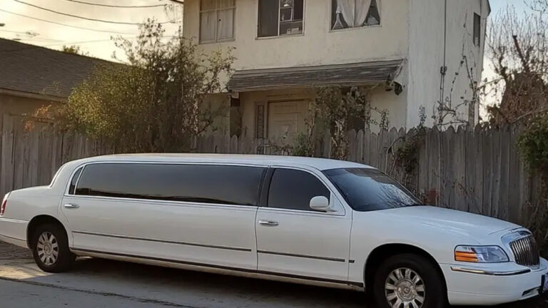 Man Gives Salary to Woman with Child Asking for Money for a Ticket — Next Day, a Large White Limousine Pulls up to His House
