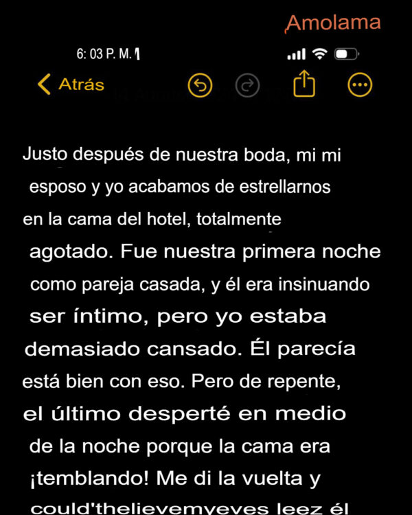 Mi marido convirtió nuestra noche de bodas en una catástrofe – Historia del día