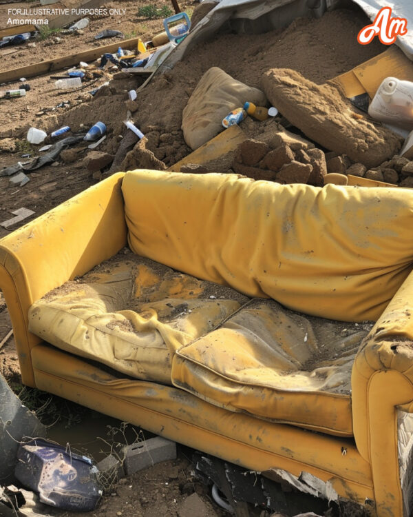 Llevé nuestro viejo sofá al basurero, pero mi marido se puso furioso y gritó: “¡¿Has tirado el plan a la basura?!”