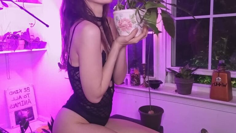 The Art of Infusing Magic into Everyday Life