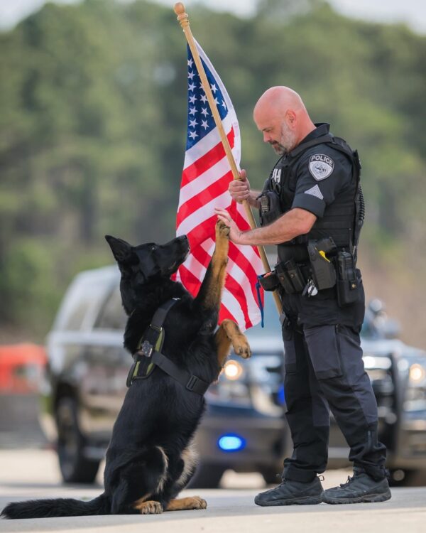 A Loyal and Intelligent Working Dog