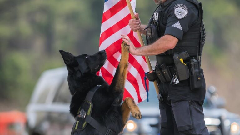 A Loyal and Intelligent Working Dog
