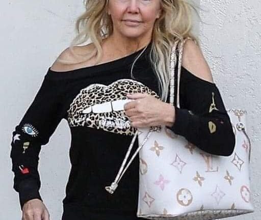 Heather Locklear: A Hollywood Star’s Transformation