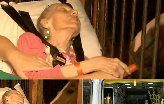 A Final Goodbye: A Dying Woman’s Last Wish to See Her Beloved Horse Comes True