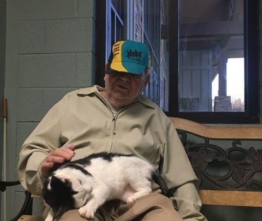 El gato del asilo de ancianos solo amaba a un hombre, y después de su muerte, finalmente entendimos por qué