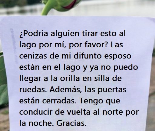 ENCONTRÉ UNA NOTA EN UNA ROSA Y LO QUE DECÍA ME ROMPIÓ