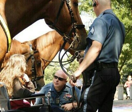 Extendió la mano para tocar el caballo, pero luego dijo algo que dejó paralizado al oficial.