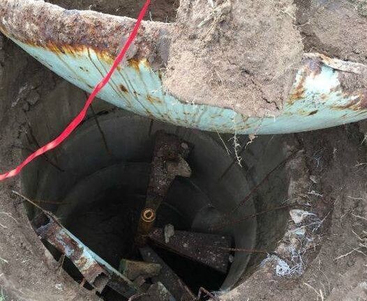 Un hombre que cava en su patio trasero hace el último descubrimiento que esperaba encontrar