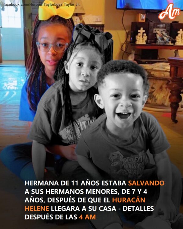 El hermano Derrick, de 4 años, y la hermana Harmony, de 7, fallecieron trágicamente durante el huracán Helene: Detalles