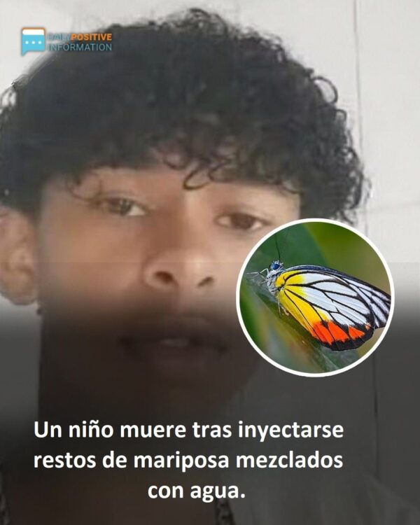 La policía investiga a un niño de 14 años que murió tras inyectarse restos de mariposa mezclados con agua.