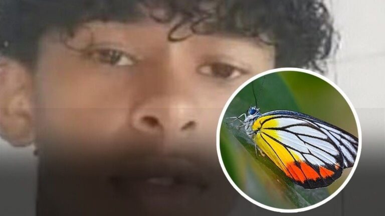 La policía investiga a un niño de 14 años que murió tras inyectarse restos de mariposa mezclados con agua.