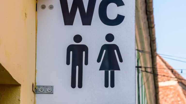 People Were Left Stunned After Finally Learning What ‘WC’ Toilet Sign Stands For