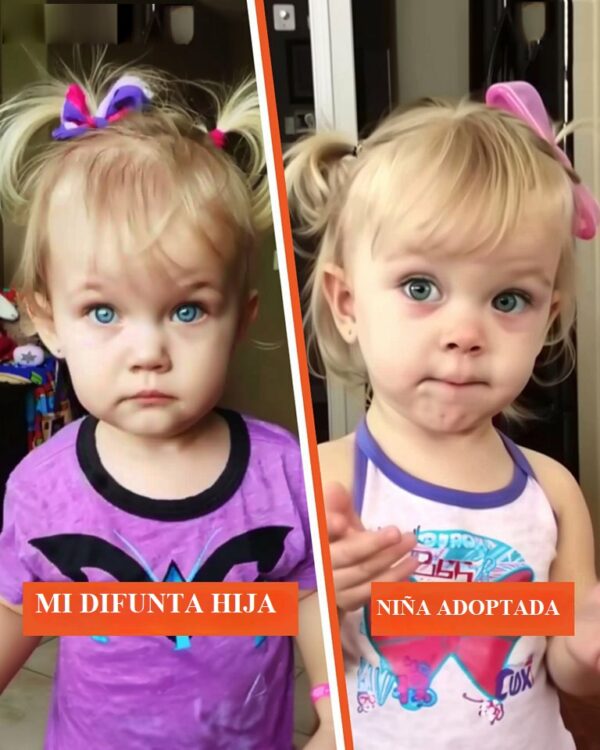 Madre devastada quiere adoptar y encuentra a una niña en una agencia de adopción sorprendentemente parecida a su difunta hija — Historia del día