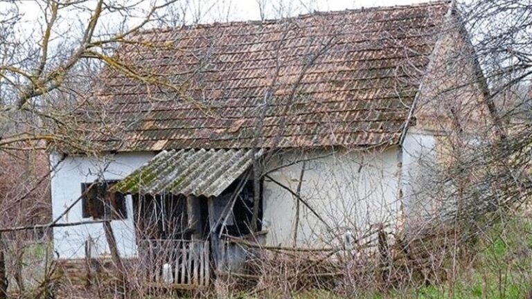 The Young Family Did Not Have Money For an Apartment: So They Bought an Abandoned House And Turned It Into a Fairytale House!
