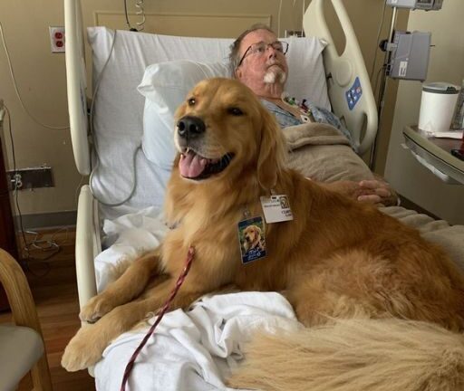 THE THERAPY DOG JUMPED ON HIS BED—AND THAT’S WHEN HE FINALLY SPOKE