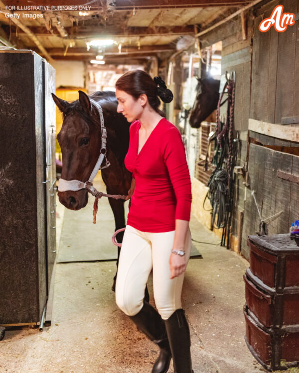 Her Comeback Was Everything She’d Worked For — Until He Stepped Into the Arena