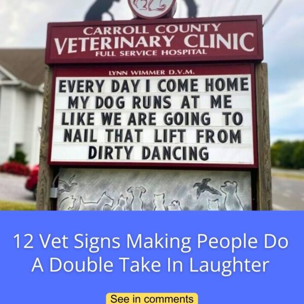 11 Vet Signs That Just Keep Getting Funnier And Funnier