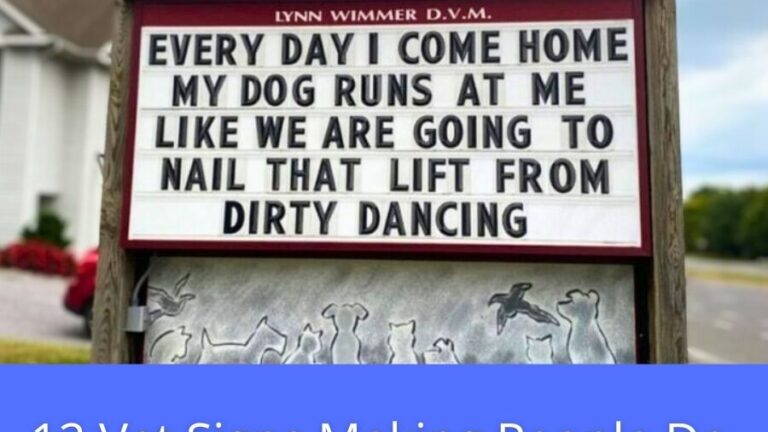 11 Vet Signs That Just Keep Getting Funnier And Funnier
