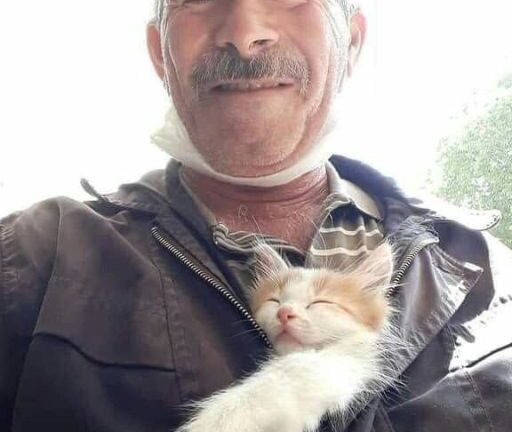 HE SAID HE FOUND HER IN A DITCH—BUT THE COLLAR HIDDEN IN HIS POCKET TOLD A DIFFERENT STORY