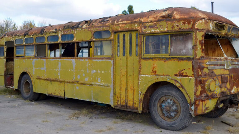 A Woman Turned a 1966 Bus into a Comfortable and Cozy Home on Wheels