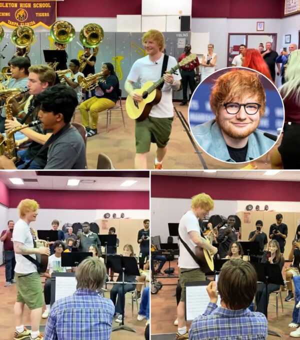 Ed Sheeran Shocked A Classroom Of Young Kids In Tampa With Free Tickets And Donating Guitars