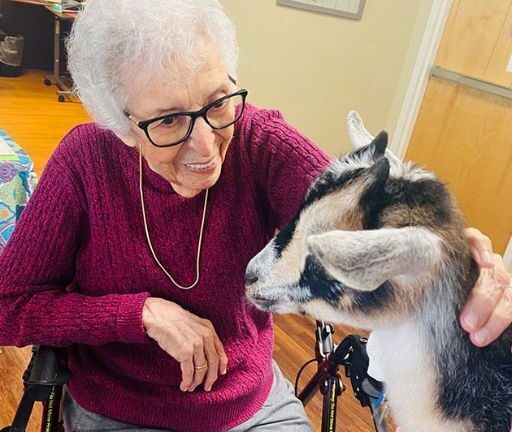 I BROUGHT A BABY GOAT TO A NURSING HOME—AND ONE RESIDENT SAID HIS NAME