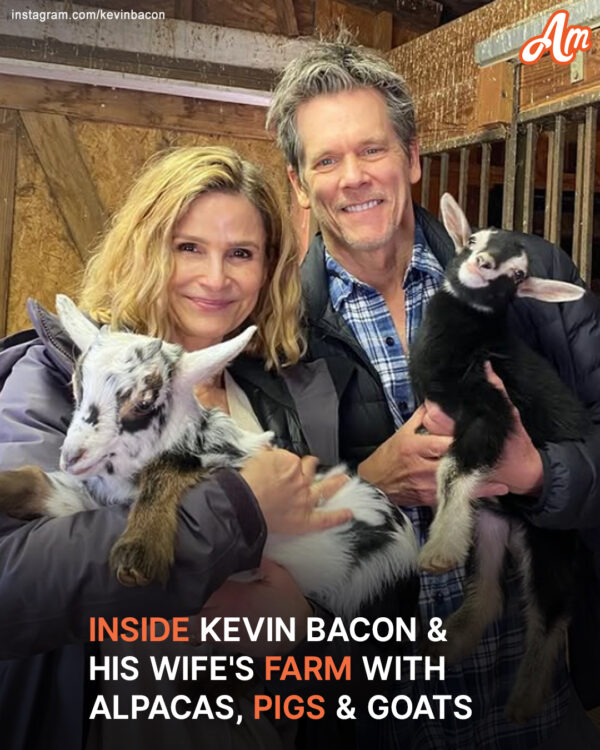 Inside Kevin Bacon & His Wife’s Farm with Alpacas, Pigs, & Goats – Two Were His Anniversary Gift to Her