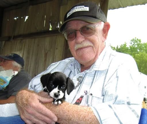 Abandoned Puppy Becomes the Angel a Grieving Old Man Prayed For