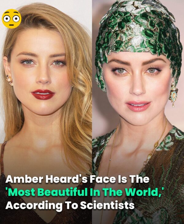 Scientists Analyze Amber Heard’s Face And Say It Is In A Class Of Its Own