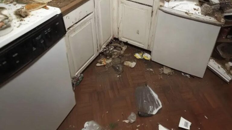 Cleaner Stepped Into a Stranger’s Home — Then a Stack of Birthday Cards Revealed a Heartbreaking Secret