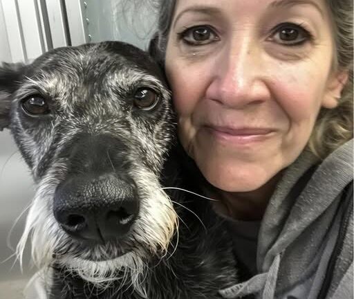 She Adopted The Oldest Shelter Dog Not Knowing It Would Tear The Family Apart