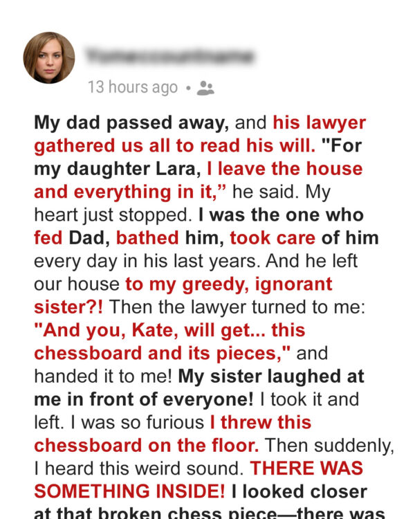 My Sister Inherited Everything, While My Father Left Me Only a Chessboard, But the Secret It Held Shocked Our Entire Family — Story of the Day
