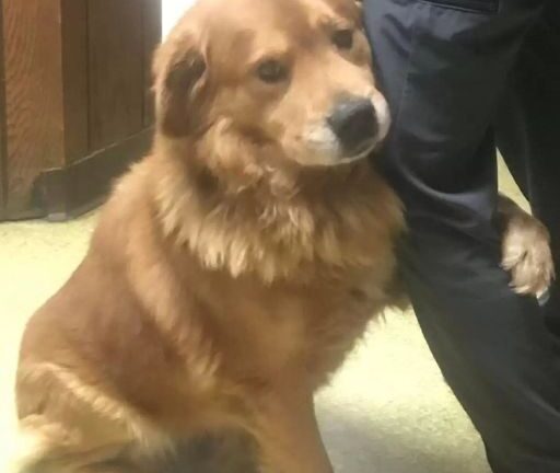 HE WOULDN’T LET GO OF MY LEG—AND I COULDN’T LEAVE HIM BEHIND