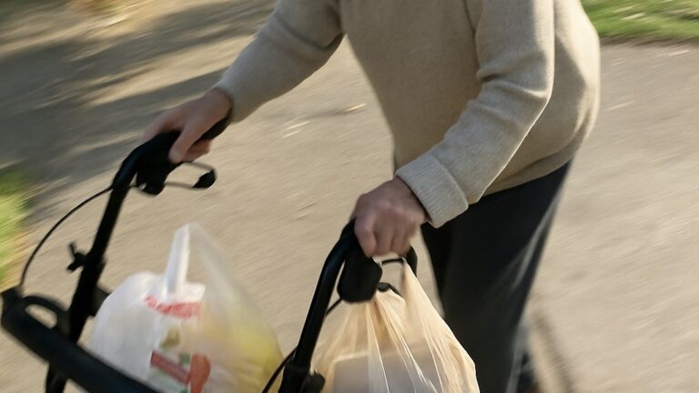 SHE WALKED SIX BLOCKS WITH A ROLLATOR—JUST TO BRING HER NEIGHBOR SOME SOUP