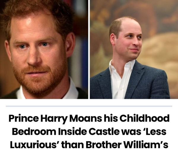 Prince Harry Whines That His Childhood Bedroom Was Not As ‘Luxurious’ As Prince William’s