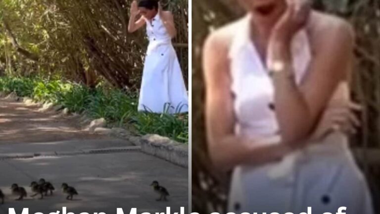 Meghan Markle Accused Of Fake Easter Duckling Video After Fans Spot An Embarrassing Detail
