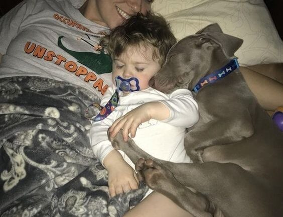 I LET OUR DOG SLEEP NEXT TO OUR TODDLER—AND NOW MY PARTNER WON’T SPEAK TO ME