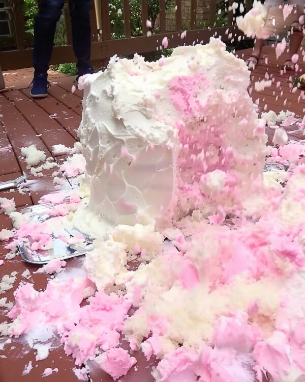 My MIL ‘Accidentally’ Dropped Our Gender Reveal Cake – But Her Smile Told a Different Story