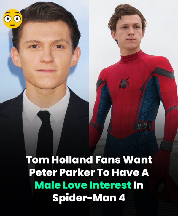 Tom Holland Fans Are Looking For Peter Parker To Have A Male Love Interest In Spiderman 4