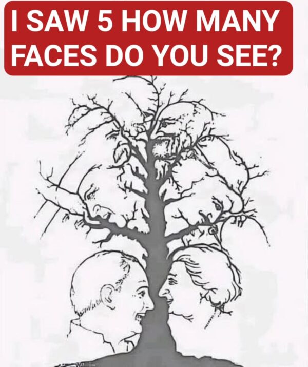 If You Find All Of The Hidden Faces In 10 Seconds You Are A Genius
