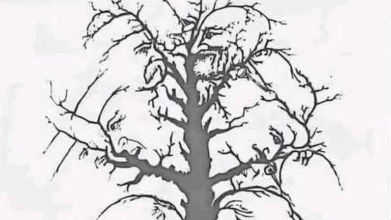 If You Find All Of The Hidden Faces In 10 Seconds You Are A Genius