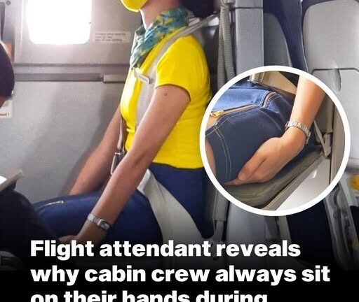 Here’s Why Cabin Crew Sits On Their Hands During Take Off and Landing