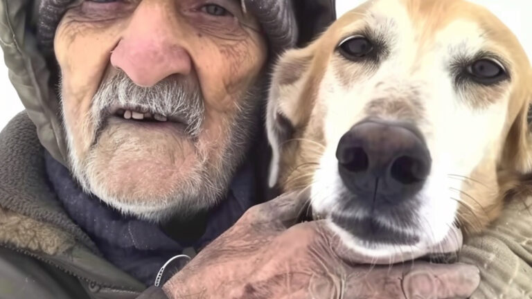 Homeless Man Asked Me to Take His Dog – A Month Later, I Received a Mysterious Letter