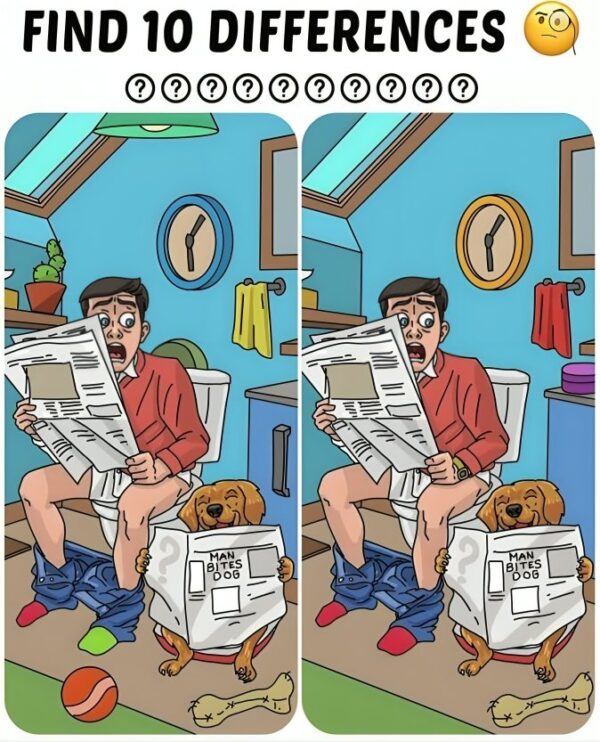 Find 10 differences.