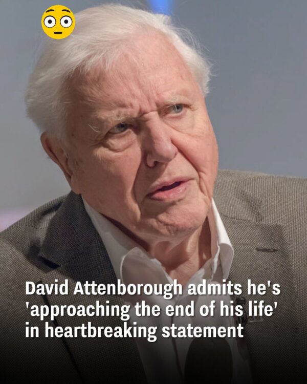 David Attenborough Claims He Is ‘Approaching The End Of His Life’ In New Documentary