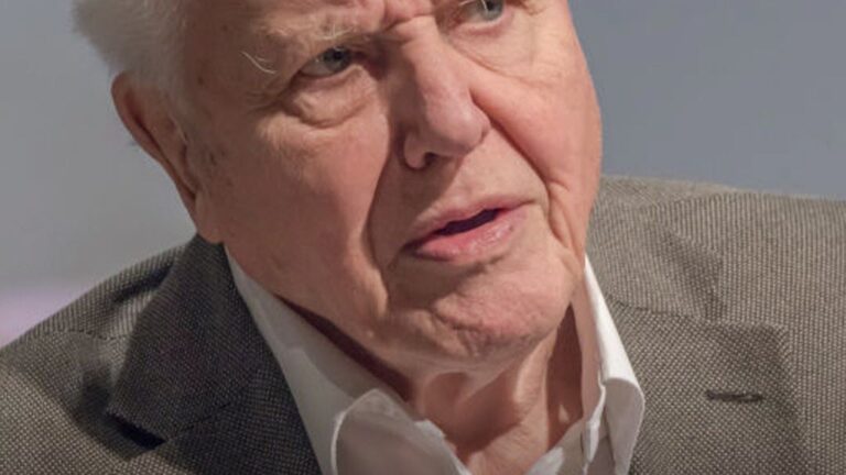 David Attenborough Claims He Is ‘Approaching The End Of His Life’ In New Documentary