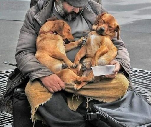 THEY CALLED ME HOMELESS—BUT THESE TWO NEVER LET ME FEEL ALONE